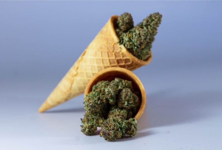 cannabis in cones